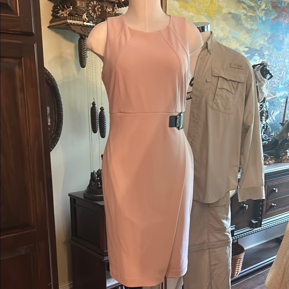 Ivanka Trump Sz 10 Elegant Pink Tailored Belted Dress EUC